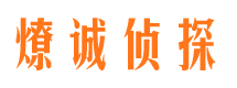 新兴市私人侦探